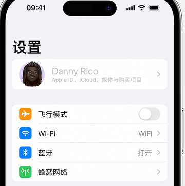 金波乡appleID维修服务iPhone设置中Apple ID显示为灰色无法使用