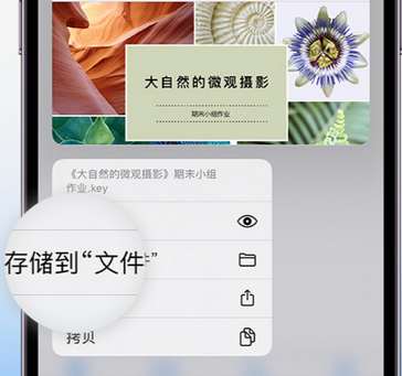 金波乡apple维修中心分享iPhone文件应用中存储和找到下载文件