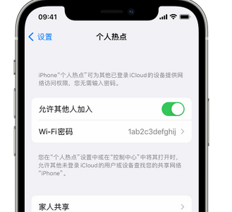 金波乡apple服务站点分享iPhone上个人热点丢失了怎么办 