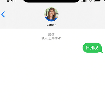 金波乡apple维修iPhone上无法正常发送iMessage信息