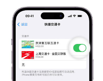 金波乡apple维修点分享iPhone上更换Apple Pay快捷交通卡手绘卡面 