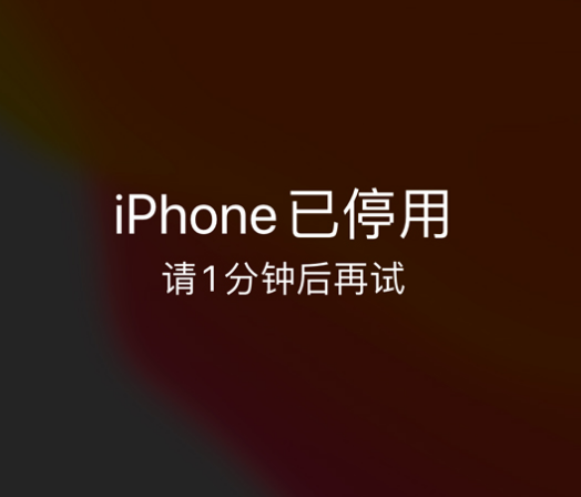 金波乡苹果手机维修分享:iPhone 显示“不可用”或“已停用”怎么办？还能保留数据吗？ 