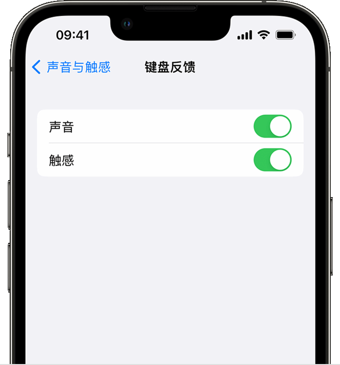 金波乡苹果14维修店分享如何在 iPhone 14 机型中使用触感键盘 