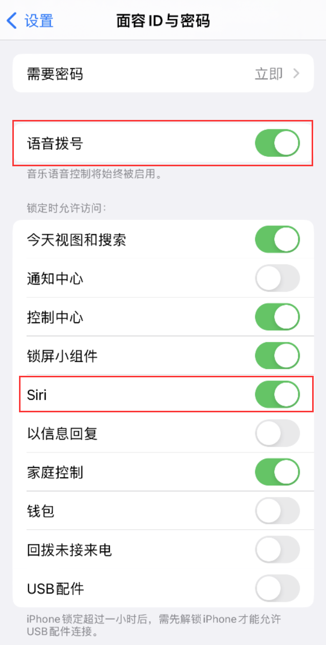 金波乡苹果维修网点分享不解锁 iPhone 的情况下通过 Siri 拨打电话的方法 