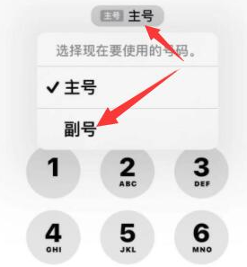 金波乡苹果14维修店分享iPhone 14 Pro Max使用副卡打电话的方法 