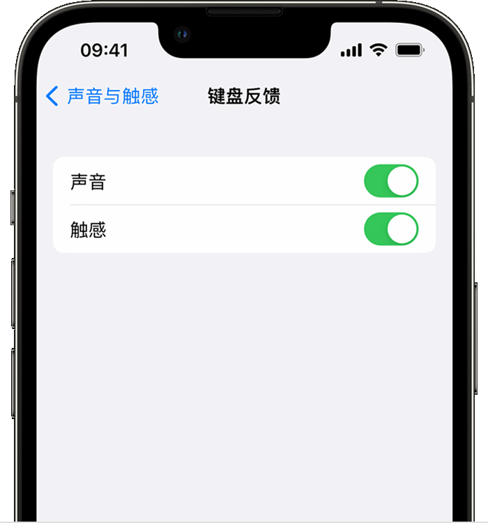 金波乡苹果14维修分享iPhone 14 系列机型如何开启键盘声音或触感反馈 