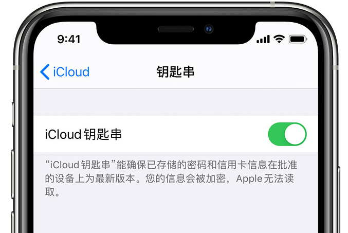 金波乡苹果手机维修分享在 iPhone 上开启 iCloud 钥匙串之后会储存哪些信息 