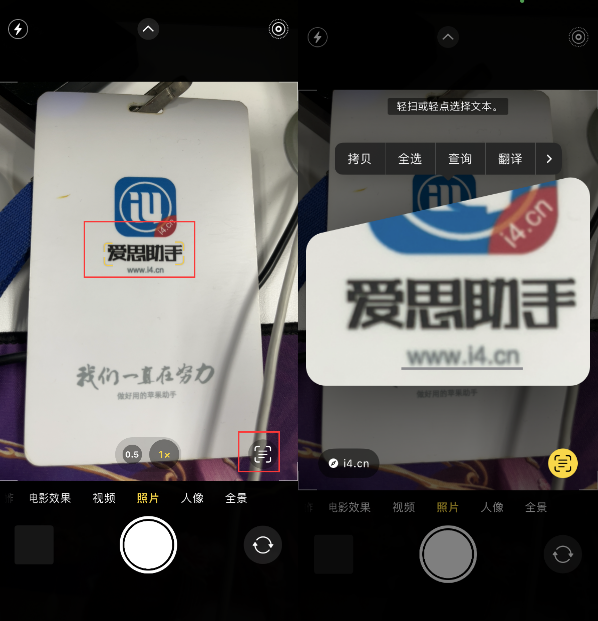 金波乡苹果手机维修分享升级iOS 16后如何通过相机翻译文本 