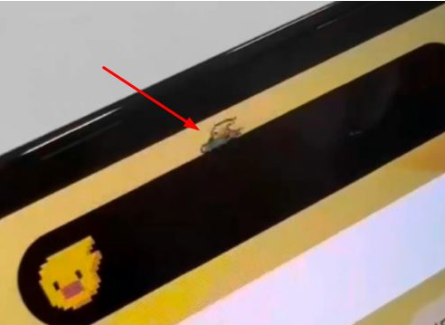 金波乡苹果14维修分享iPhone 14 Pro Max灵动岛怎么养宠物 