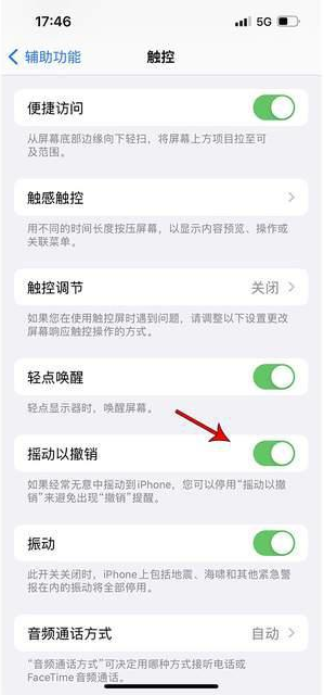 金波乡苹果手机维修分享iPhone手机如何设置摇一摇删除文字 