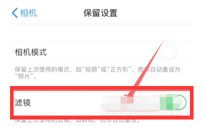 金波乡苹果13维修分享iPhone13拍照有绿点是怎么回事 