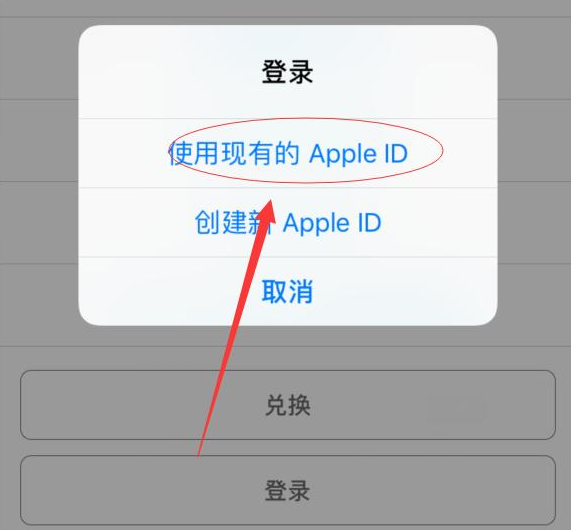 金波乡苹果手机维修分享两台iPhone设备可以同时登录一个Apple ID吗 