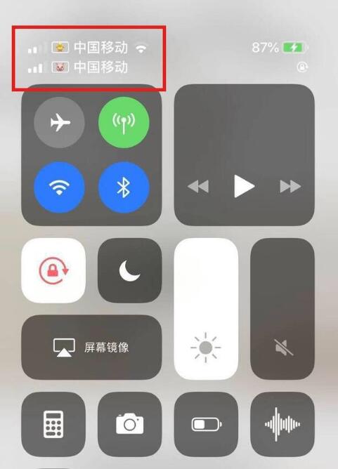 金波乡苹果手机维修分享为 iPhone 12 双卡设置标签 