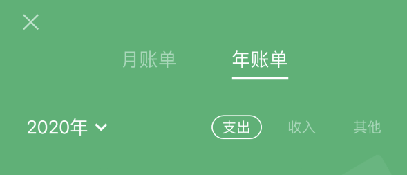 金波乡苹果手机维修分享如何在 iPhone 上查看支付宝和微信年支出账单 