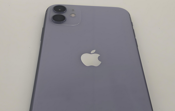 金波乡苹果11系统维修分享iPhone11手机系统崩溃无法开机如何解决